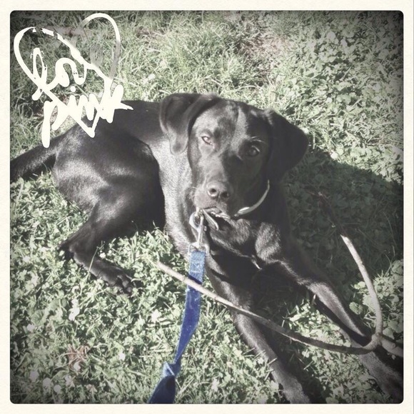 NOT FOR SALE - Picture 5 of 10